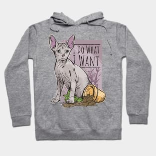 I do What I Want Funny Sphynx Cat Hoodie